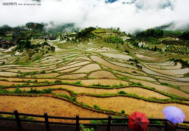 脚著谢公屐，身登青云梯。 