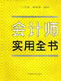 会计师实用全书